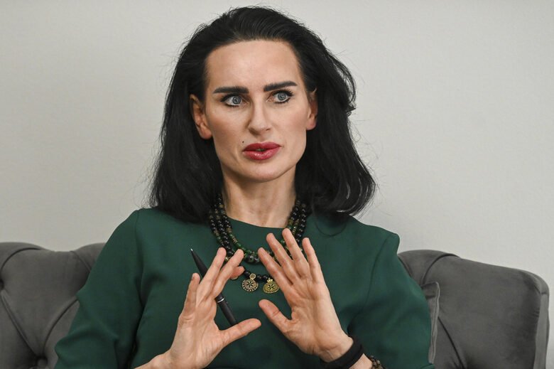 Украинската посланичка проговори за дрона край Кардам: Не е бил насочен умишлено към България