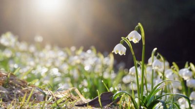 Времето на 26 март: Слънце, но с рискове от силен южен вятър