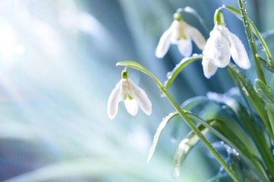 Облаци обхващат страната: Дъжд и сняг в края на деня