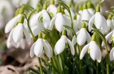 Рязка промяна на времето: Дъжд на юг, сняг в планините и студен вятър