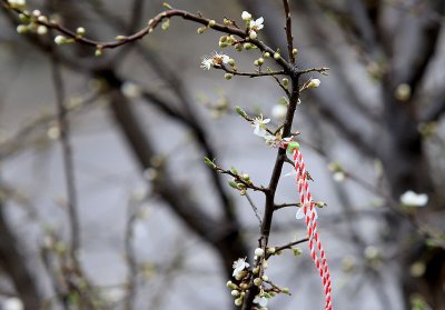 Облаци и дъжд в голяма част от страната днес
