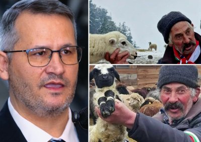 КЛАНЕ! Лъжецът Иван Христанов готви масово убийство на стадото на бай Рибан