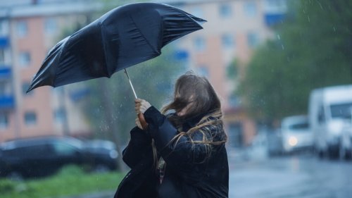 Жълт код за силен вятър в сряда - 8 април