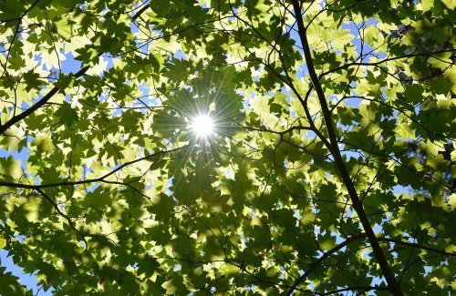 Времето се успокоява: Слънце и до 21&deg;, но с превалявания в планините