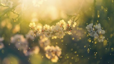 Слънчево време днес, температурите ще достигнат до 15 градуса