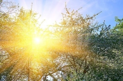 Слънчев 14 април: София стига 17&deg;, но по морето остава хладно - до 12&deg; в Бургас