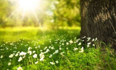 Пролетно време с повече слънце: Температурите между 12 и 17 градуса