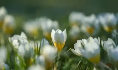 Слънце над почти цялата страна: До 18&deg; днес, но мъгла и ниска облачност сутрин на изток