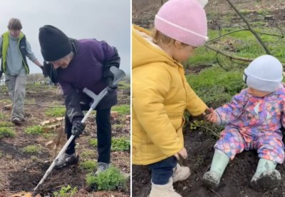 След пожара край Бургас: Започна възстановяването на боровата гора в Българово