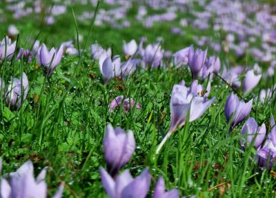 Слънчево време днес, температурите до 17 градуса