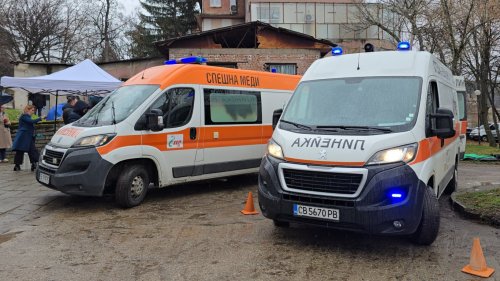 Шофьор на 71 блъсна мъж и кучето му в Несебър и избяга