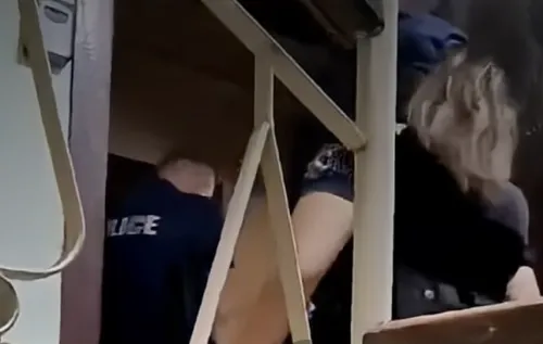 (ВИДЕО) &bdquo;Апартамент на ужасите&ldquo; в Бургас: 45 котки и 2 кучета в мезонет, съседи се жалват от смрад и бълхи