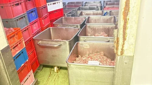 БАБХ откри близо 7 тона развалено месо в месокомбинат в Костинброд