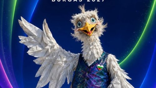 Еврогларус или &bdquo;мерлион&ldquo;: Спор за талисмана на Евровизия 2027 в Бургас