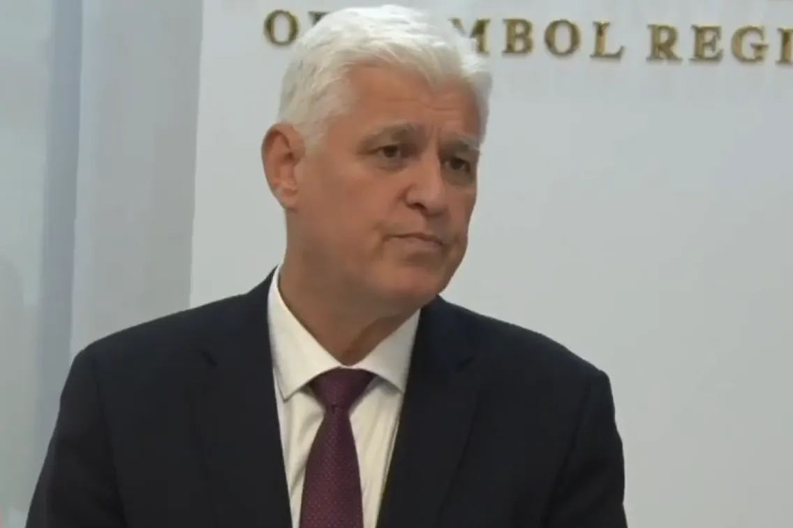 Димитър Стоянов: Украйна още не е дала отговор за дрона, взривил се край Кардам (ВИДЕО)