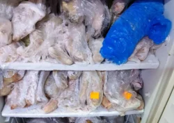 БАБХ удари Цигов чарк: 292 кг храна спряна от продажба заради срокове и неясен произход