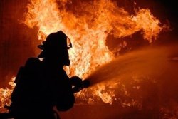 Тревога на Касандра: Горски пожар избухна край Елани