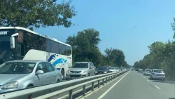 Катастрофа край Ченгене скеле блокира пътя Созопол&ndash;Бургас: Шофьори търсят избягало куче след удара