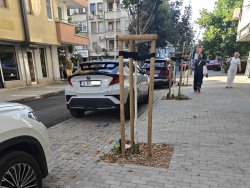 Една кола, две паркоместа: Снимка от центъра на Бургас предизвика бурни реакции
