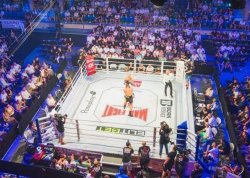 MAX FIGHT 67 връща голямата битка в Бургас
