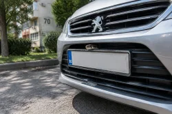 Змия се скри в Пежо пред блок 70 в Бургас
